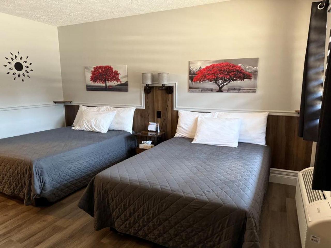 Auberge Micky Inc Edmundston Exteriör bild